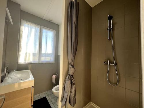 ein Bad mit einer Dusche und einem Waschbecken in der Unterkunft Le Thomeryon 10 minutes de Fontainebleau in Thomery