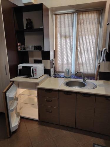 a kitchen with a sink and a microwave at Apart Club Tolstogo in Chernivtsi