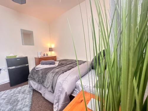Moor Park Apartments في بريستون: غرفة نوم بسرير ونبات خضراء