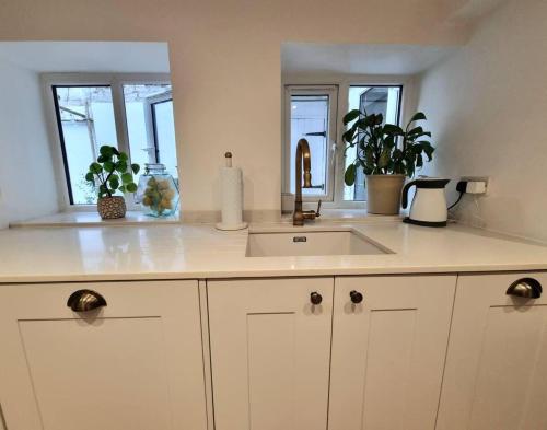 een aanrecht met een wastafel en twee ramen bij Spacious & Renovated 1-Bed Garden Flat in London in Londen