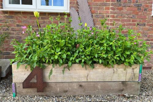 a wooden planter filled with flowers in front of a building at Whitstable The Jolly in Whitstable