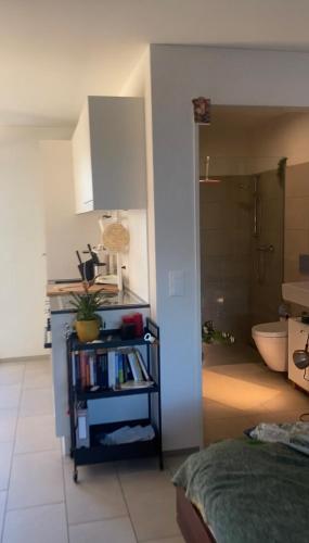 a room with a bed and a bathroom with a sink at Rooftop Apartment - Zurich Airport in Zurich