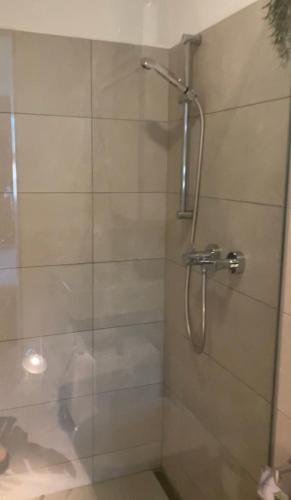 a shower with a glass door in a bathroom at Rooftop Apartment - Zurich Airport in Zurich