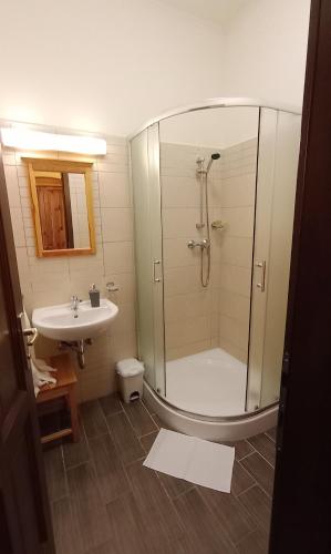 a bathroom with a shower and a sink at Sasréti Vadászkastély Almamellék in Almamellék