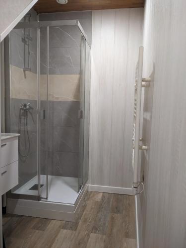 une douche avec une porte vitrée dans une salle de bain dans l'établissement Appartement et salle de jeu, à Saint-Claude