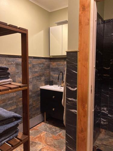 a bathroom with a sink and a shower at Pumpura apartamenti ***** in Talsi
