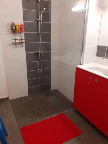een badkamer met een douche, een rode kast en een rood kleed bij chez laly et mimy in La Possession
