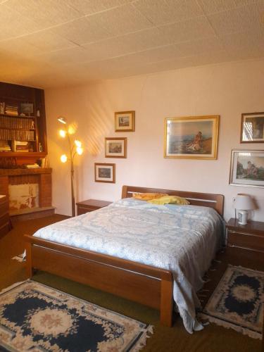 a bedroom with a large bed in a room at Nonna Anita in Castelveccana