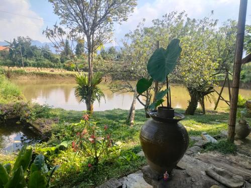 Zahrada ubytování Dồn Dao Homestay