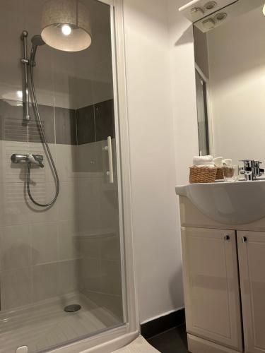La salle de bains est pourvue d'une douche et d'un lavabo. dans l'établissement Le Lys, à Épernay