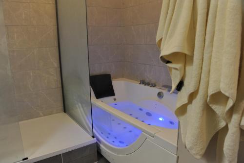 a bathroom with a shower and a toilet and a tub at L'Un Des Sens in Châtel-Guyon