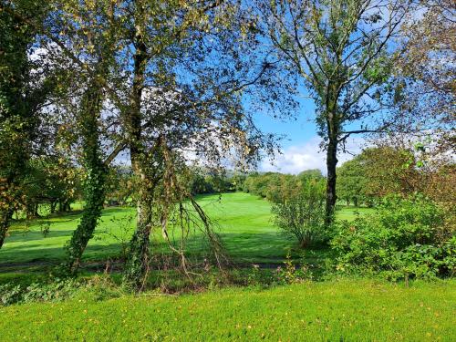 uma vista para um campo de golfe com árvores num campo em Celtic Minor Stables em Swansea
