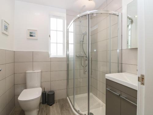 a bathroom with a shower and a toilet and a sink at Bankhead of Lour Bungalow in Forfar