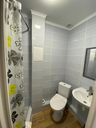 a bathroom with a toilet and a sink at Autopark Hotel in Lviv