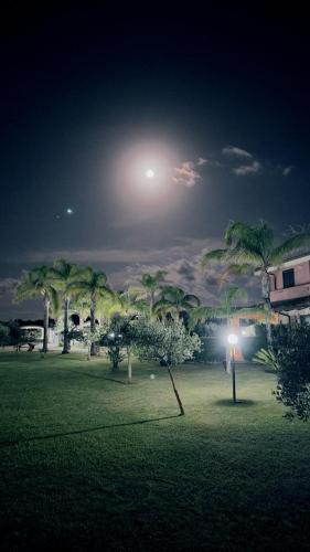 a park with palm trees at night with a full moon at B&B Casale Pietrantica Tropea in Ciaramiti