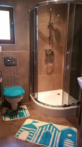 a bathroom with a shower and a toilet and rug at Zakońpiańska Chata - Domek Góralski Na Kamieńcu in Zakopane