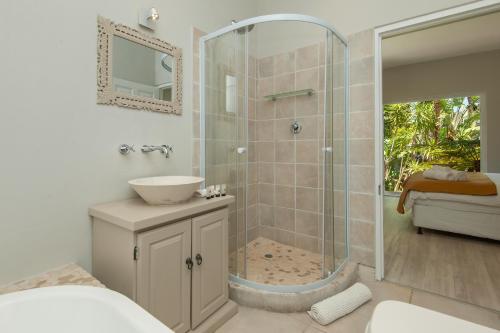 y baño con ducha, lavabo y espejo. en Villa Blu Guesthouse, en Hermanus