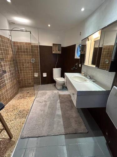 une salle de bain avec une douche, un lavabo et des toilettes dans l'établissement Villa Mougins vue Mer sur Baie de Cannes, Piscine vue mer partagée, à Mougins
