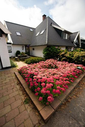 a bed of pink flowers in front of a house at Melkmeisje in Oudeschild