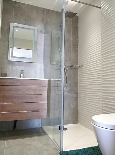 une salle de bain avec une douche, un lavabo et des toilettes dans l'établissement Loft T3 Duplex Vue Mer Porquerolles, à Hyères