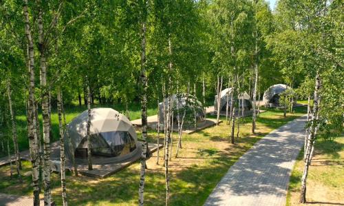 a group of tents in a forest of trees at ENERGOSFERA - Innowacyjny Ośrodek Turystyki Edukacyjnej 
