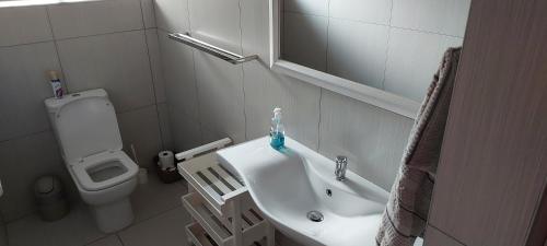 ein Badezimmer mit Waschbecken und Toilette in der Unterkunft Zinkwazi Beach townhouse in Zinkwazi Beach