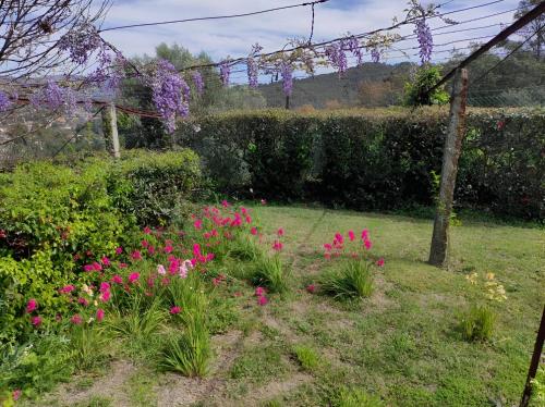 a garden with pink flowers in the grass at Casa do Alto (top floor apartment) in Adaúfe