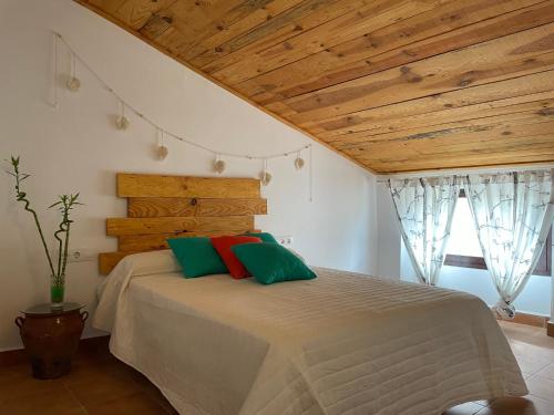 1 dormitorio con 1 cama con almohadas verdes y rojas en La Rosita alojamiento rural, en Hinojares