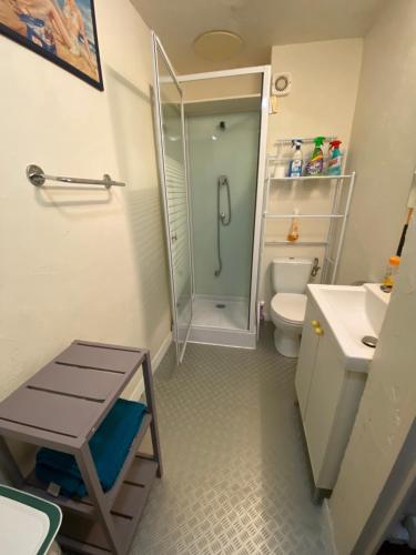 une salle de bain avec une douche, des toilettes et un lavabo dans l'établissement Studio sans chambre Soustons plage proximité golf océan, à Soustons