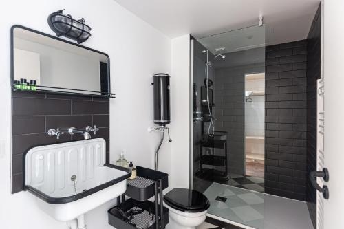 une salle de bain avec toilettes, lavabo et douche dans l'établissement Le Maupassant - Appt en mezzanine, à Bordeaux