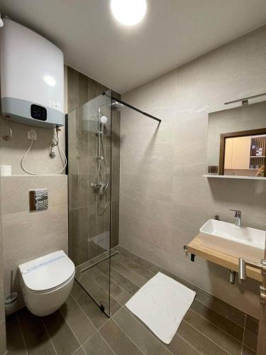 a bathroom with a shower and a toilet and a sink at Nivalis Residence 6 in Jahorina