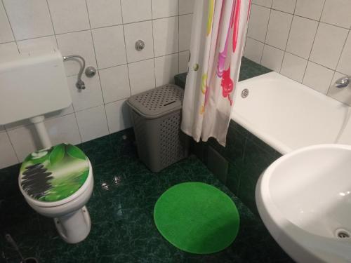 a bathroom with a green floor and a toilet and a sink at Guesthouse Gasho in Rijeka