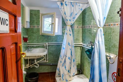 baño con lavabo y cortina de ducha en HOSTEL SPORT BUCHAREST en Bucarest