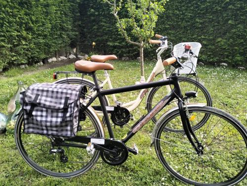 a bike parked in the grass in a field at Country House Campofiore in Pontelongo