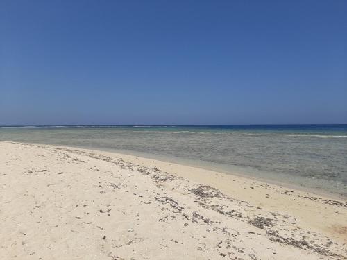 a sandy beach with the ocean in the background at Alam B&B in Marsa Alam City