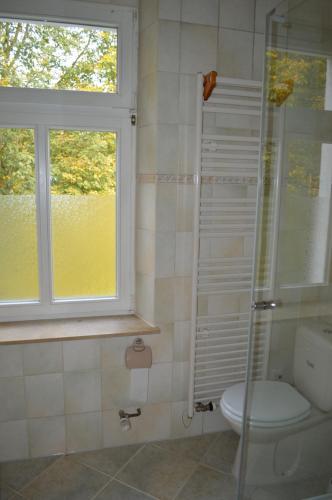 ReinhardtsdorfにあるSchöna Einliegerwohnungのバスルーム(シャワー、トイレ付)、窓が備わります。