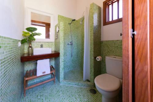 エルミグアにあるCasa Rural El Arenalのバスルーム(シャワー、トイレ、シンク付)