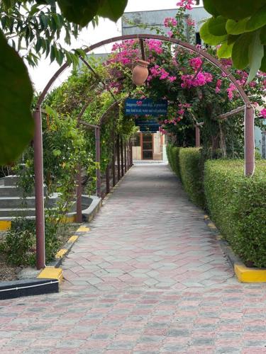 a brick walkway with pink flowers on it at Al Bayan Inn in Nizwa