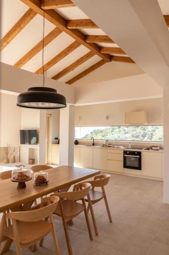 Kuchyň nebo kuchyňský kout v ubytování AVERTOSIA Luxury Villas