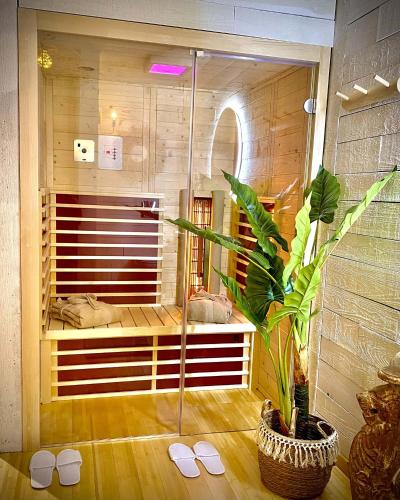 a room with a shower with a plant in it at Le Sanglier Amoureux in Érezée