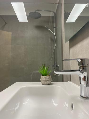 een wastafel met een plant bovenop bij Barista Homes in San Miguel de Abona