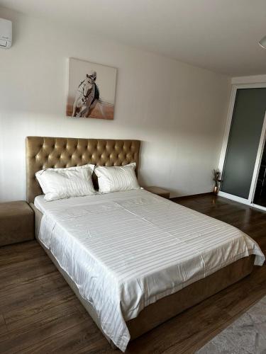 Foto dalla galleria di Anastasia Apartament a Oradea