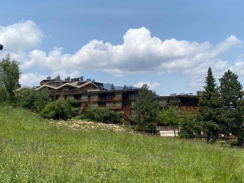 a large building on top of a grassy hill at Appartement pra loup 1600 4pers in Uvernet-Fours