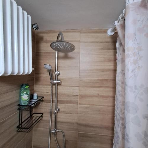 a shower with a shower head in a bathroom at Riga Fereou apartments in Patra
