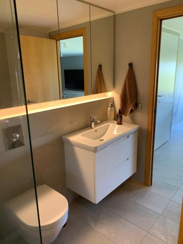a bathroom with a sink and a toilet and a mirror at Mengi Apartments Keflavik in Keflavík