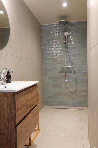 a bathroom with a shower and a sink at Melkmeisje in Oudeschild