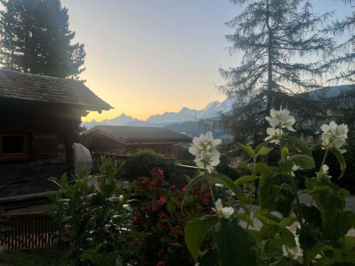 BARMADZA Mazots de Charme