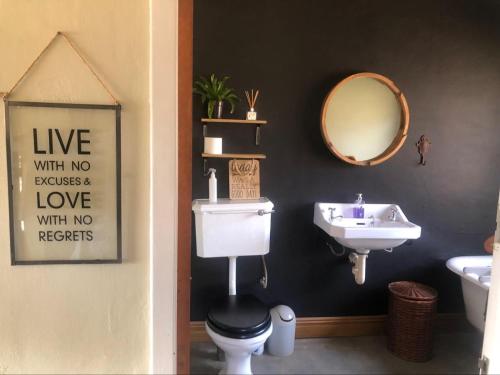bagno con lavandino, servizi igienici e specchio di Schoemanshof a Potchefstroom