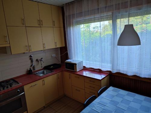 cocina con fregadero, microondas y ventana en Aranyharmat Apartman, en Balatonlelle