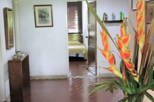 Fotografie z fotogalerie ubytování Finca cerca a Cali - Pura Naturaleza - El Carmen, Colombia v destinaci Papagalleros